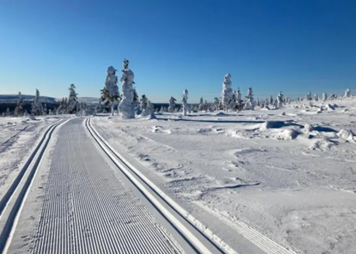 בית נופש Vuolkuma C By Interhome סאריסלקה